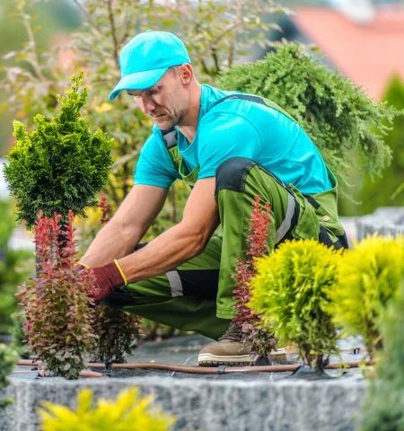 Aménagement Jardin Marrakech par Paysagiste