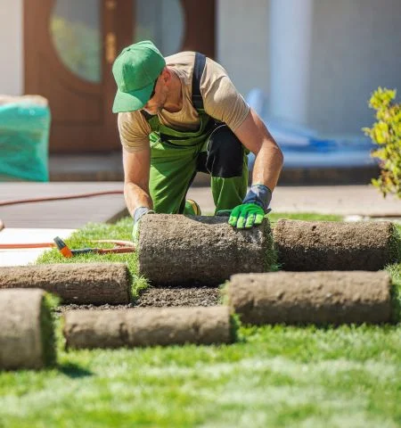 Pose de Gazon par Jardinier Expert